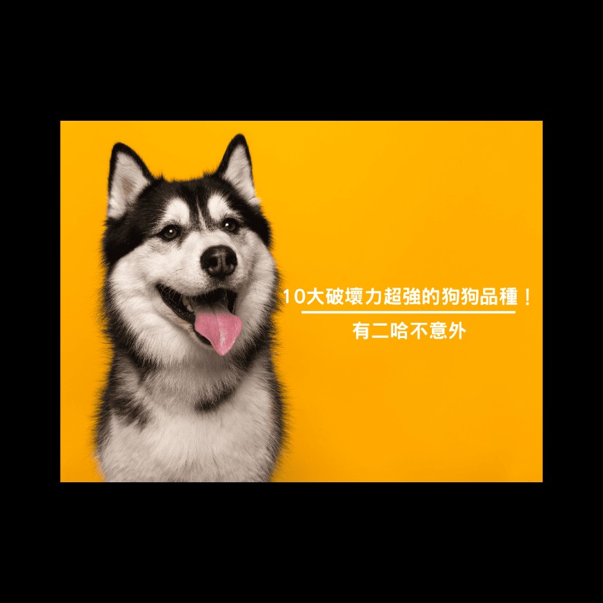 貼文圖片