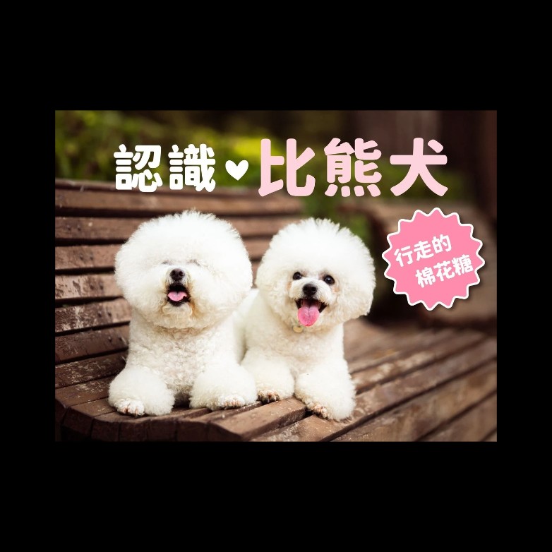 貼文圖片